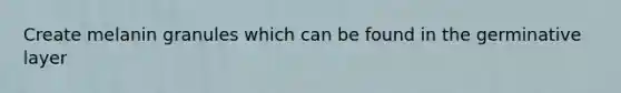 Create melanin granules which can be found in the germinative layer