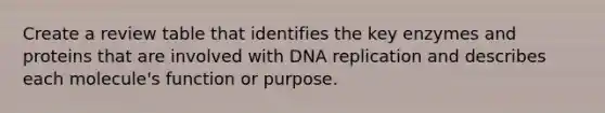 Create a review table that identifies the key enzymes and proteins that are involved with DNA replication and describes each molecule's function or purpose.