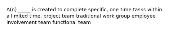 A(n) _____ is created to complete specific, one-time tasks within a limited time. project team traditional work group employee involvement team functional team