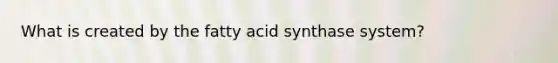 What is created by the fatty acid synthase system?