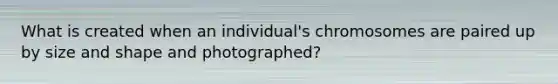 What is created when an individual's chromosomes are paired up by size and shape and photographed?