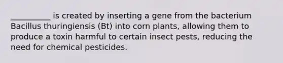 __________ is created by inserting a gene from the bacterium Bacillus thuringiensis (Bt) into corn plants, allowing them to produce a toxin harmful to certain insect pests, reducing the need for chemical pesticides.