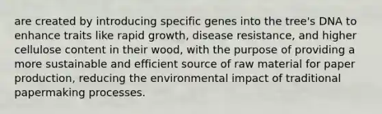 are created by introducing specific genes into the tree's DNA to enhance traits like rapid growth, disease resistance, and higher cellulose content in their wood, with the purpose of providing a more sustainable and efficient source of raw material for paper production, reducing the environmental impact of traditional papermaking processes.