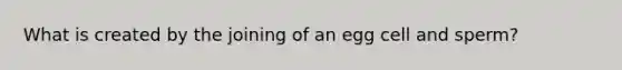 What is created by the joining of an egg cell and sperm?