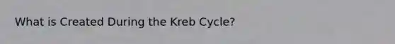 What is Created During the Kreb Cycle?