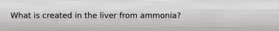 What is created in the liver from ammonia?