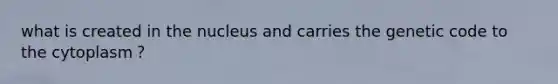 what is created in the nucleus and carries the genetic code to the cytoplasm？