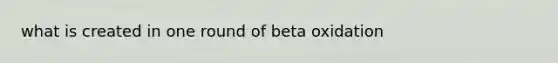 what is created in one round of beta oxidation