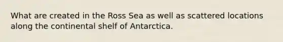 What are created in the Ross Sea as well as scattered locations along the continental shelf of Antarctica.