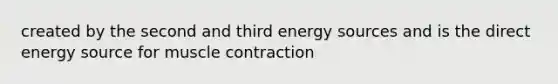 created by the second and third energy sources and is the direct energy source for muscle contraction