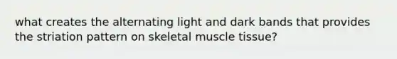 what creates the alternating light and dark bands that provides the striation pattern on skeletal muscle tissue?