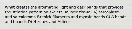 What creates the alternating light and dark bands that provides the striation pattern on skeletal muscle tissue? A) sarcoplasm and sarcolemma B) thick filaments and myosin heads C) A bands and I bands D) H zones and M lines