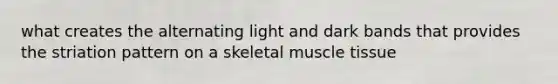 what creates the alternating light and dark bands that provides the striation pattern on a skeletal muscle tissue