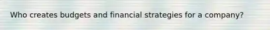 Who creates budgets and financial strategies for a company?