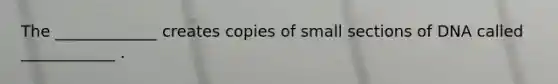 The _____________ creates copies of small sections of DNA called ____________ .