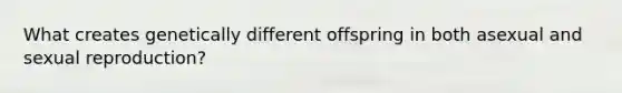 What creates genetically different offspring in both asexual and sexual reproduction?