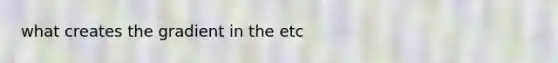 what creates the gradient in the etc