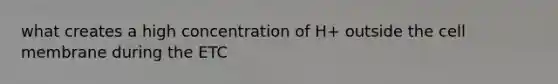 what creates a high concentration of H+ outside the cell membrane during the ETC