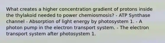 What creates a higher concentration gradient of protons inside the thylakoid needed to power chemiosmosis? - ATP Synthase channel - Absorption of light energy by photosystem 1. - A photon pump in the electron transport system. - The electron transport system after photosystem 1.