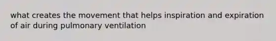 what creates the movement that helps inspiration and expiration of air during pulmonary ventilation