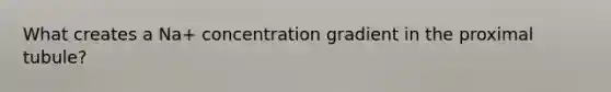 What creates a Na+ concentration gradient in the proximal tubule?