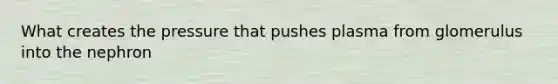 What creates the pressure that pushes plasma from glomerulus into the nephron