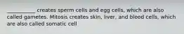 ___________ creates sperm cells and egg cells, which are also called gametes. Mitosis creates skin, liver, and blood cells, which are also called somatic cell