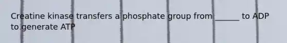 Creatine kinase transfers a phosphate group from ______ to ADP to generate ATP