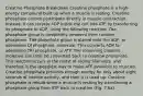 Creatine Phosphate Breakdown Creatine phosphate is a high-energy compound built up when a muscle is resting. Creatine phosphate cannot participate directly in muscle contraction. Instead, it can recycle ADP inside the cell into ATP by transferring its phosphate to ADP, using the following reaction: The phosphate group is completely removed from creatine phosphate. The phosphate group is placed onto the ADP, or adenosine DI phosphate, molecule. This converts ADP to adenosine TRI phosphate, or ATP. The remaining creatine molecule can later be converted back to creatine phosphate. This reaction occurs in the midst of sliding filaments, and therefore is the speediest way to make ATP available to muscles. Creatine phosphate provides enough energy for only about eight seconds of intense activity, and then it is used up. Creatine phosphate is rebuilt when a muscle is resting by transferring a phosphate group from ATP back to creatine (Fig. 7.6a).