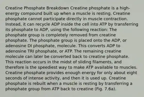 Creatine Phosphate Breakdown Creatine phosphate is a high-energy compound built up when a muscle is resting. Creatine phosphate cannot participate directly in muscle contraction. Instead, it can recycle ADP inside the cell into ATP by transferring its phosphate to ADP, using the following reaction: The phosphate group is completely removed from creatine phosphate. The phosphate group is placed onto the ADP, or adenosine DI phosphate, molecule. This converts ADP to adenosine TRI phosphate, or ATP. The remaining creatine molecule can later be converted back to creatine phosphate. This reaction occurs in the midst of sliding filaments, and therefore is the speediest way to make ATP available to muscles. Creatine phosphate provides enough energy for only about eight seconds of intense activity, and then it is used up. Creatine phosphate is rebuilt when a muscle is resting by transferring a phosphate group from ATP back to creatine (Fig. 7.6a).