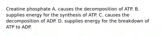 Creatine phosphate A. causes the decomposition of ATP. B. supplies energy for the synthesis of ATP. C. causes the decomposition of ADP. D. supplies energy for the breakdown of ATP to ADP.