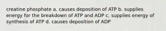 creatine phosphate a. causes deposition of ATP b. supplies energy for the breakdown of ATP and ADP c. supplies energy of synthesis of ATP d. causes deposition of ADP