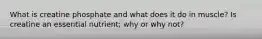 What is creatine phosphate and what does it do in muscle? Is creatine an essential nutrient; why or why not?