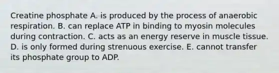 Creatine phosphate A. is produced by the process of anaerobic respiration. B. can replace ATP in binding to myosin molecules during contraction. C. acts as an energy reserve in muscle tissue. D. is only formed during strenuous exercise. E. cannot transfer its phosphate group to ADP.