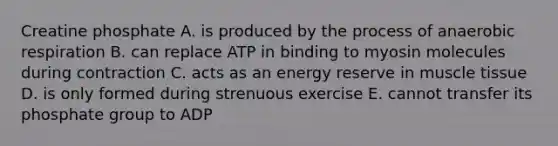 Creatine phosphate A. is produced by the process of anaerobic respiration B. can replace ATP in binding to myosin molecules during contraction C. acts as an energy reserve in muscle tissue D. is only formed during strenuous exercise E. cannot transfer its phosphate group to ADP