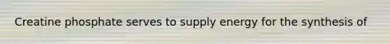 Creatine phosphate serves to supply energy for the synthesis of
