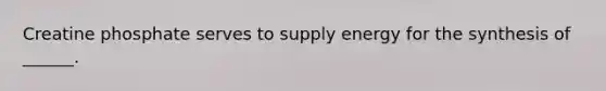 Creatine phosphate serves to supply energy for the synthesis of ______.