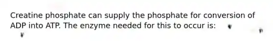 Creatine phosphate can supply the phosphate for conversion of ADP into ATP. The enzyme needed for this to occur is: