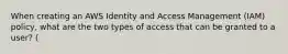 When creating an AWS Identity and Access Management (IAM) policy, what are the two types of access that can be granted to a user? (