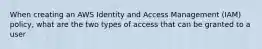 When creating an AWS Identity and Access Management (IAM) policy, what are the two types of access that can be granted to a user