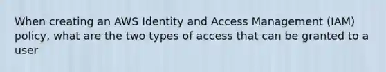 When creating an AWS Identity and Access Management (IAM) policy, what are the two types of access that can be granted to a user