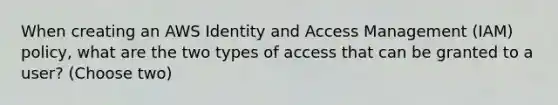 When creating an AWS Identity and Access Management (IAM) policy, what are the two types of access that can be granted to a user? (Choose two)