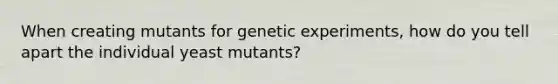 When creating mutants for genetic experiments, how do you tell apart the individual yeast mutants?