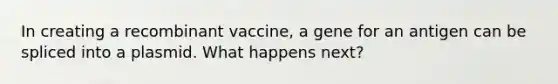 In creating a recombinant vaccine, a gene for an antigen can be spliced into a plasmid. What happens next?