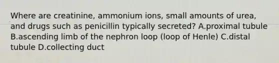 Where are creatinine, ammonium ions, small amounts of urea, and drugs such as penicillin typically secreted? A.proximal tubule B.ascending limb of the nephron loop (loop of Henle) C.distal tubule D.collecting duct