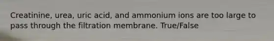 Creatinine, urea, uric acid, and ammonium ions are too large to pass through the filtration membrane. True/False