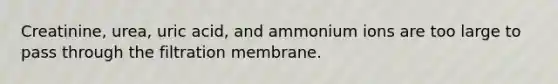 Creatinine, urea, uric acid, and ammonium ions are too large to pass through the filtration membrane.