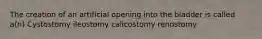 The creation of an artificial opening into the bladder is called a(n) Cystostomy ileostomy calicostomy renostomy