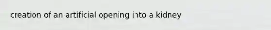 creation of an artificial opening into a kidney