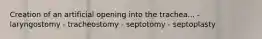 Creation of an artificial opening into the trachea... - laryngostomy - tracheostomy - septotomy - septoplasty